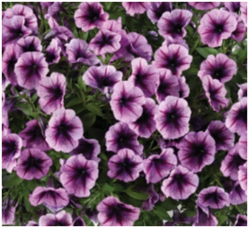 Снимок экрана 2025-08-03 0814143